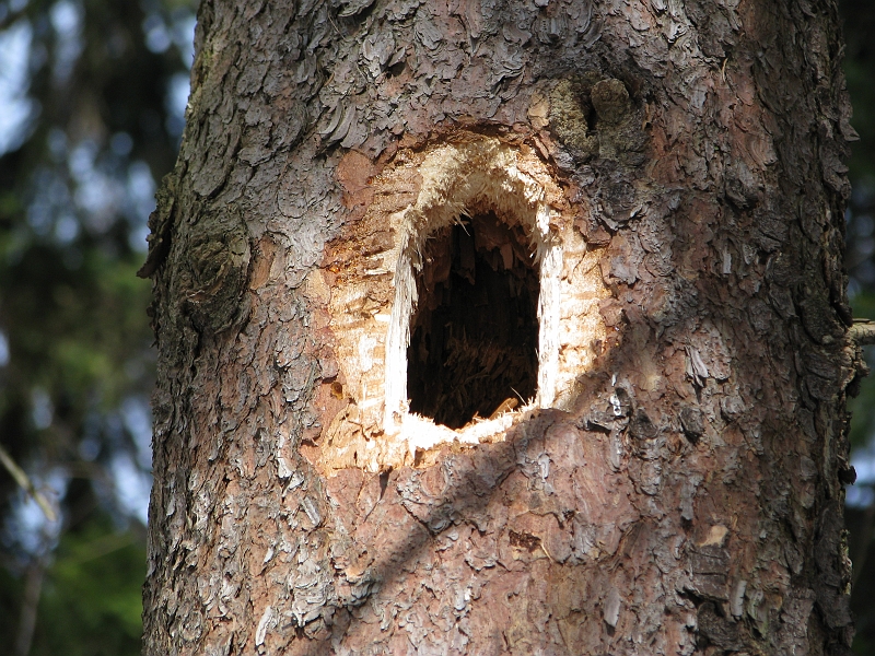 Fraszka2010-02-28 074